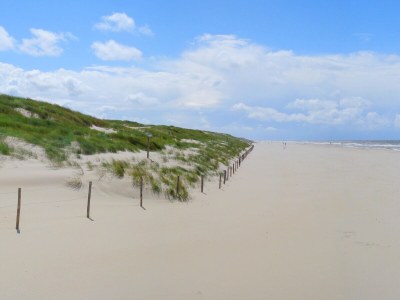 Holiday apartment Duinerei - Environment photo 21