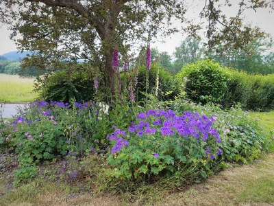 Holiday house Triangel - Outdoor photo 15