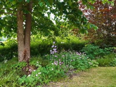 Holiday house Triangel - Outdoor photo 16