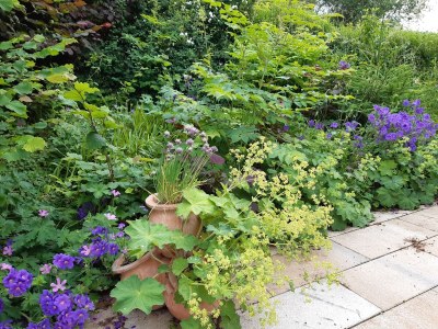 Holiday house Triangel - Outdoor photo 17