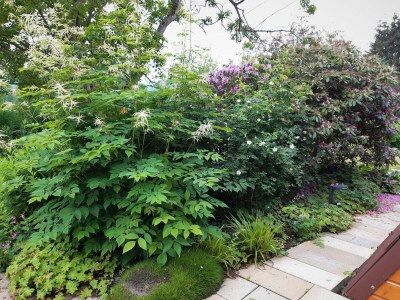 Holiday house Triangel - Outdoor photo 18