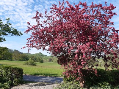 Holiday house Triangel - Outdoor photo 20