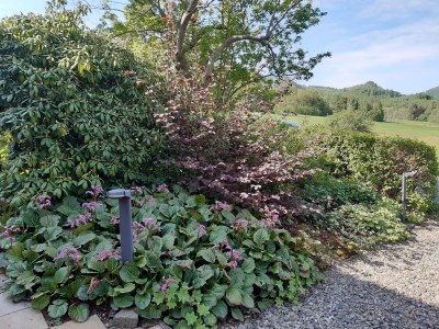 Holiday house Triangel - Outdoor photo 21