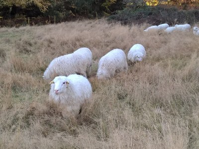 Holiday house Triangel - Environment photo 32