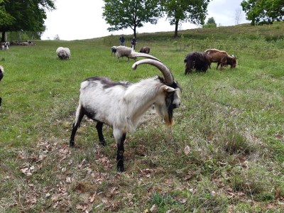 Holiday house Triangel - Environment photo 34