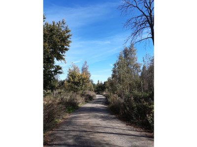 Holiday house Triangel - Environment photo 35