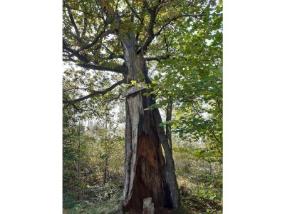 Holiday house Triangel - Environment photo 36