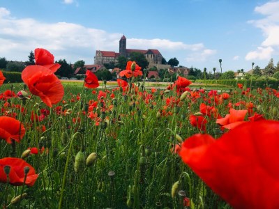 Holiday apartment Esche - Environment photo 14