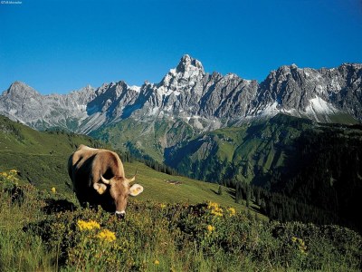 Chalet Luxus Chalet Gaschurn nahe Skilift - Environment photo 18