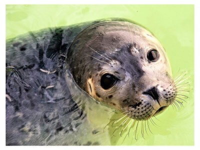 Holiday house Golden Raand - Environment photo 27