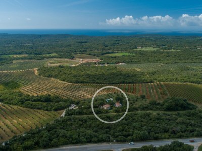 Holiday house Mamesa with pool - Environment photo 17