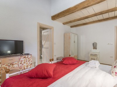 Villa Lipica with pool - Features photo 16