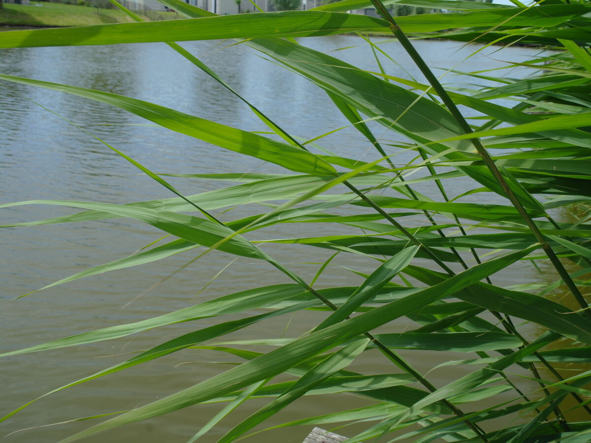 Holiday house Sun and Wind - Outdoor photo 4