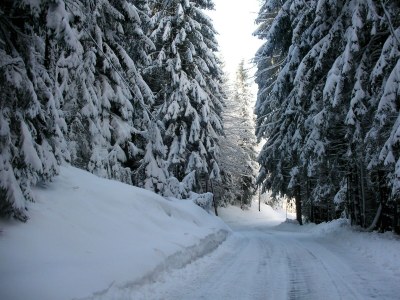 Farmhouse Wohnung in Fresach nahe Skipisten & See - Environment photo 20