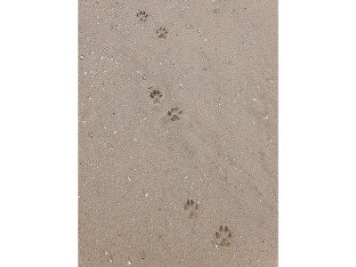 Holiday house Seesternchen - Features photo 19