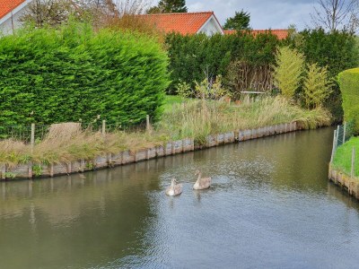 Holiday house Seesternchen - Features photo 21