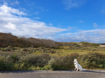 Holiday house Seesternchen - Environment photo 24
