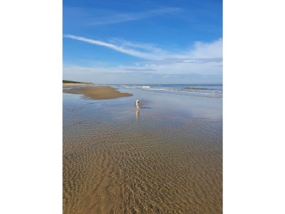 Holiday house Seesternchen - Environment photo 26