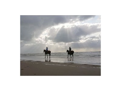 Holiday house Seesternchen - Environment photo 28