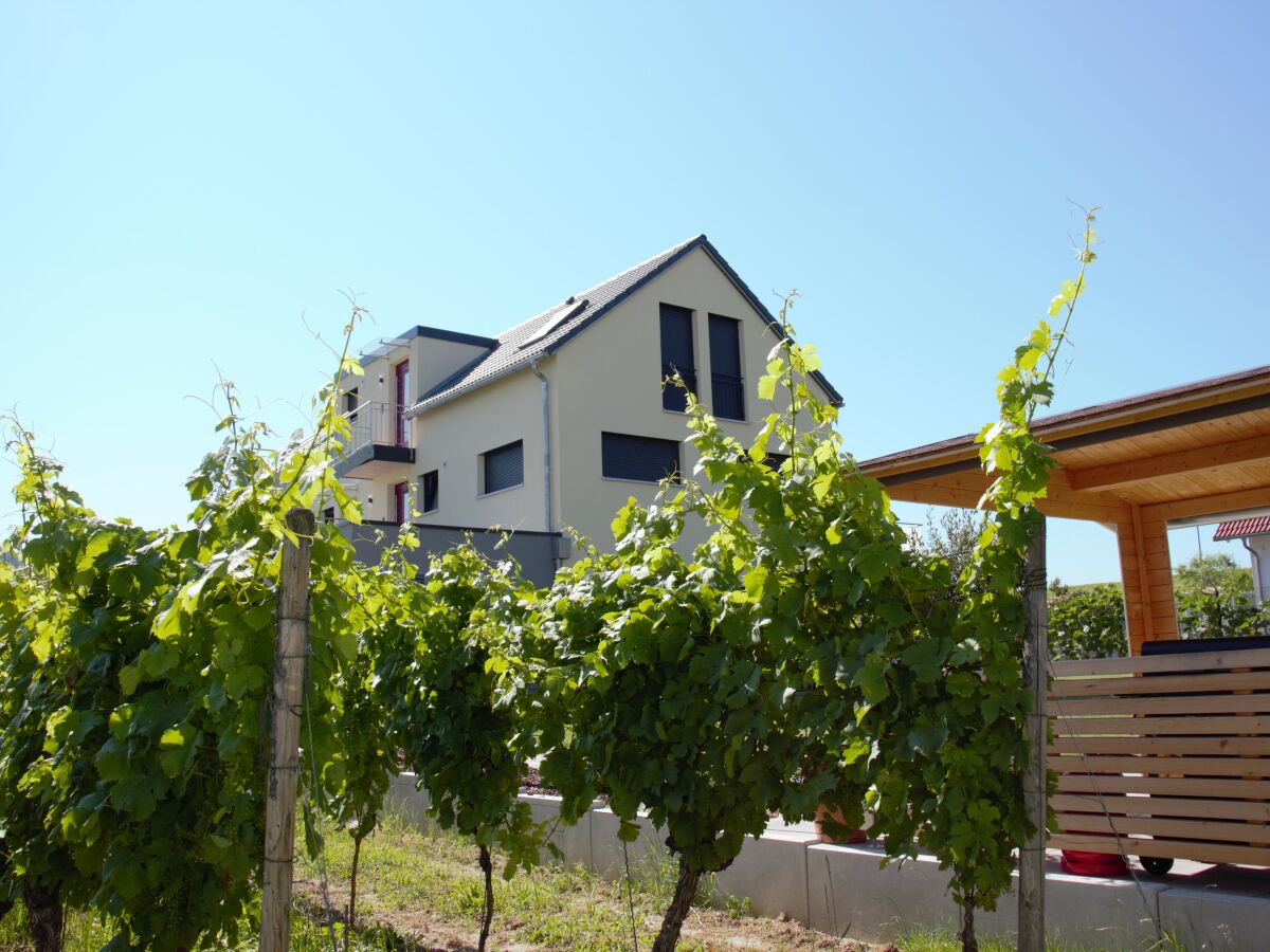 Holiday apartment Casa Luna im Kaiserstuhl "Hochkönigsburg" - Outdoor photo 4