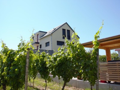 Holiday apartment Casa Luna im Kaiserstuhl "Hochkönigsburg" - Outdoor photo 4