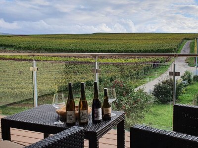 Holiday apartment Casa Luna im Kaiserstuhl "Hochkönigsburg" - Features photo 8