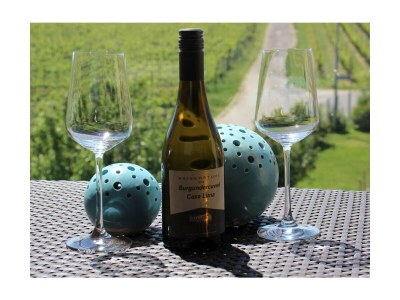 Holiday apartment Casa Luna im Kaiserstuhl "Hochkönigsburg" - Features photo 18