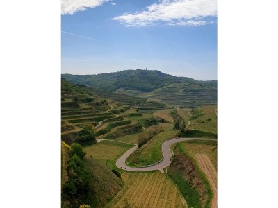 Holiday apartment Casa Luna im Kaiserstuhl "Hochkönigsburg" - Environment photo 23
