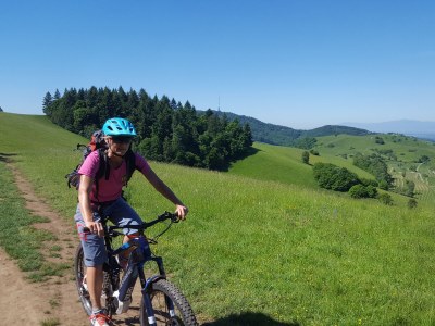 Holiday apartment Casa Luna im Kaiserstuhl "Hochkönigsburg" - Environment photo 24