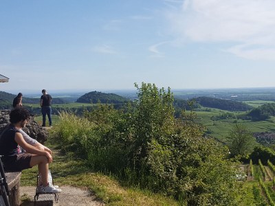 Holiday apartment Casa Luna im Kaiserstuhl "Hochkönigsburg" - Environment photo 26