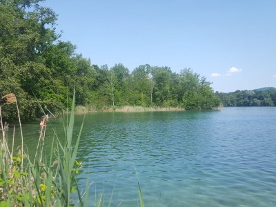 Holiday apartment Casa Luna im Kaiserstuhl "Hochkönigsburg" - Environment photo 27
