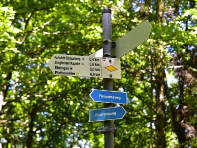 Holiday apartment Casa Luna im Kaiserstuhl "Hochkönigsburg" - Environment photo 30