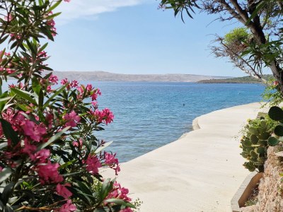 Holiday house Baricevic - Holiday Apartment Top 4 - Outdoor photo 9