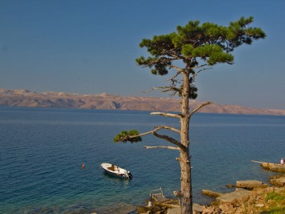 Holiday house Beachfront apartment Carlo - top 2 - Environment photo 21