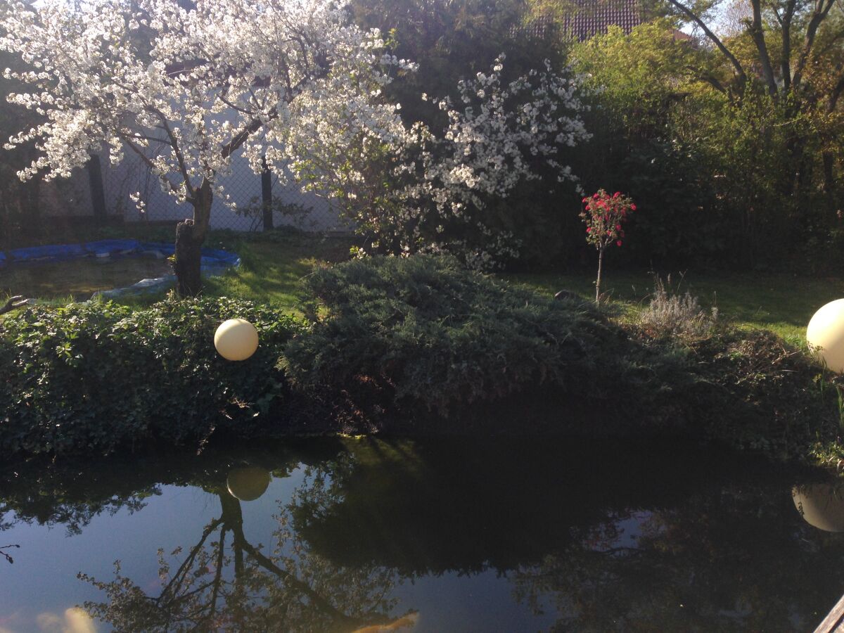 Holiday house No title - Outdoor photo 4