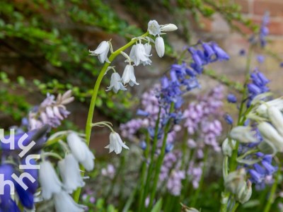 Holiday house Holiday house Domburg - ZE074 - Environment photo 23