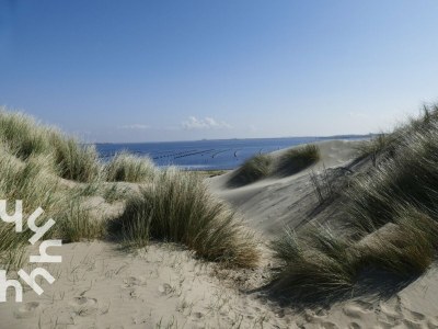 Holiday house Holiday house Domburg - ZE074 - Environment photo 34