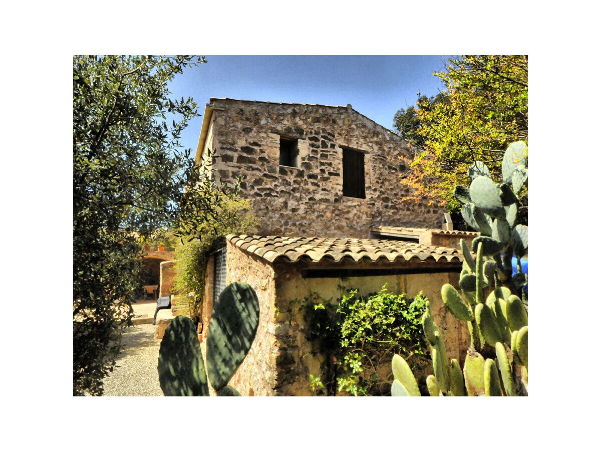 Holiday house Mallorcan country house - Outdoor photo 2