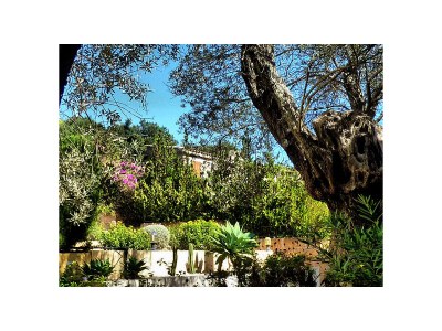 Holiday house Mallorcan country house - Outdoor photo 8