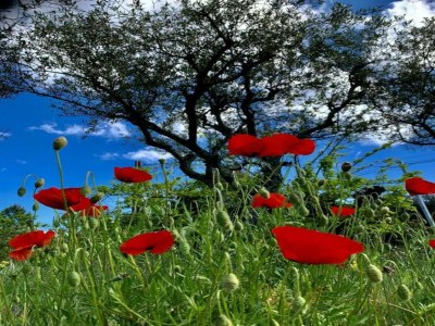 Villa Villa bei Les Vans mit privatem Pool - Environment photo 27