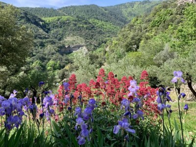 Villa Villa bei Les Vans mit privatem Pool - Environment photo 32
