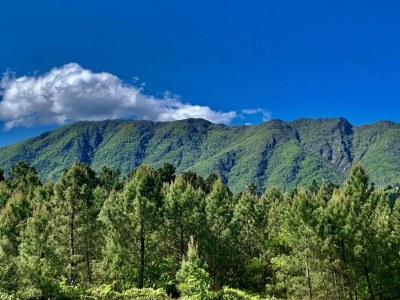 Villa Villa bei Les Vans mit privatem Pool - Environment photo 33