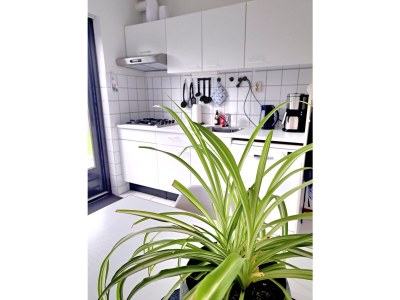 Holiday house Zuiderdiep 43 Ouddorp North Sea Park - Outdoor photo 10