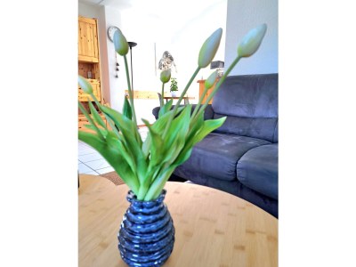 Holiday house Zuiderdiep 43 Ouddorp North Sea Park - Outdoor photo 14