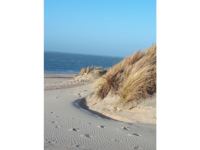 Holiday house Zuiderdiep 43 Ouddorp North Sea Park - Environment photo 24