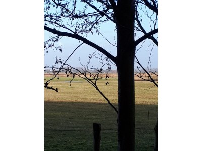 Holiday house Zuiderdiep 43 Ouddorp North Sea Park - Environment photo 27