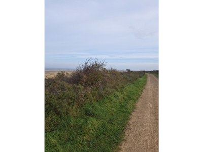 Holiday house Zuiderdiep 43 Ouddorp North Sea Park - Environment photo 28