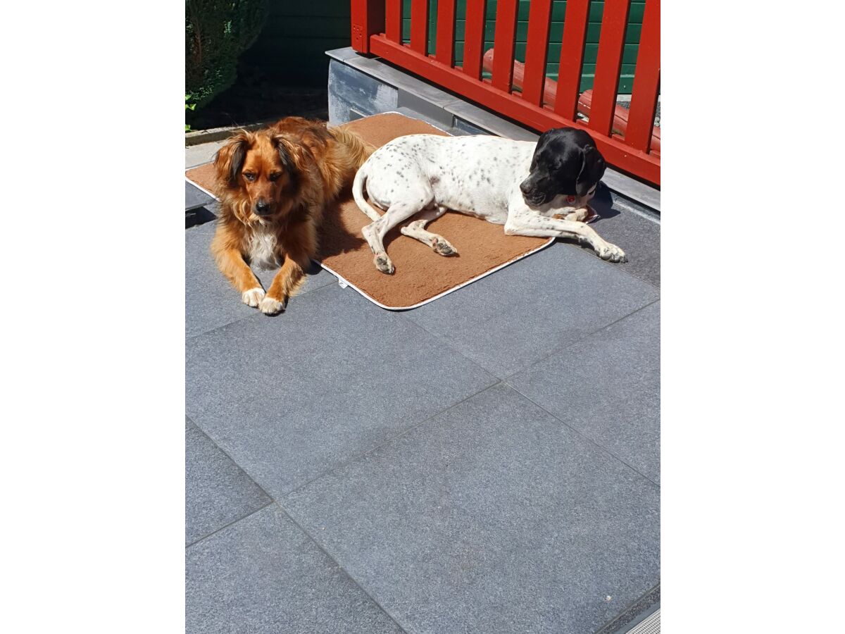 Holiday house VivaNatura Eifelferienhaus - Outdoor photo 5