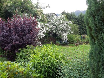 Holiday house VivaNatura Eifelferienhaus - Outdoor photo 2