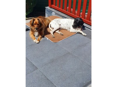 Holiday house VivaNatura Eifelferienhaus - Outdoor photo 5